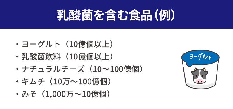 乳酸菌を含む食品