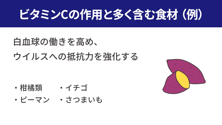 ビタミンCの作用と多く含む食材（例）、柑橘類、イチゴ、ピーマン、さつまいも