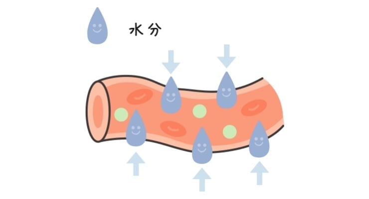 塩分を摂りすぎている状態の血管イメージ①の図。水分が血管内に引き込まれ、血管中の水分量が増えている。