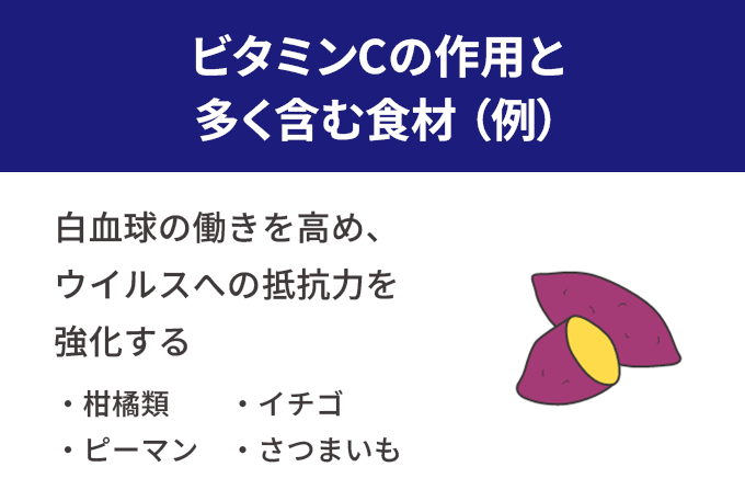 ビタミンCの作用と多く含む食材(例)。白血球の働きを高め、ウイルスへの抵抗力を強化する。柑橘類、イチゴ、ピーマン、さつまいも。