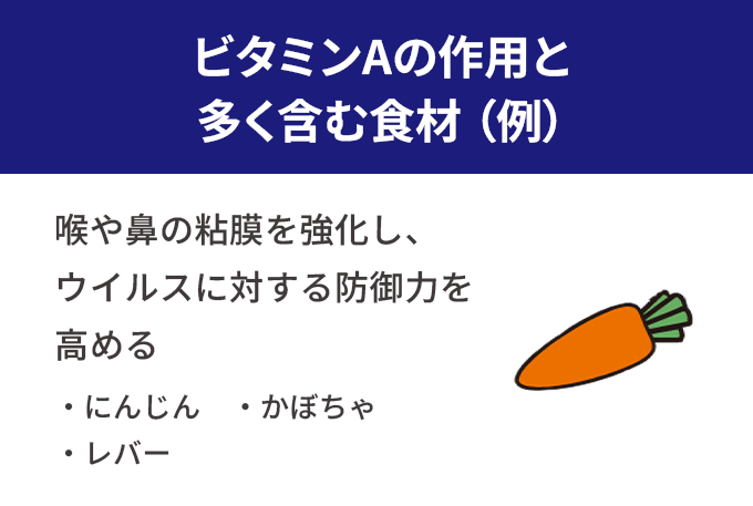 ビタミンAの作用と多く含む食材(例)。喉や鼻の粘膜を強化し、ウイルスに対する防御力を高める 。にんじん、かぼちゃ、レバー。