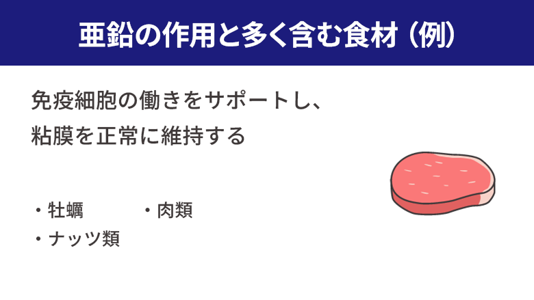 亜鉛の作用と多く含む食材(例)。免疫細胞の働きをサポートし、粘膜を正常に維持する。牡蠣、ナッツ類、肉類。