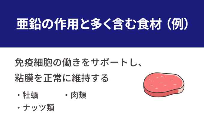 亜鉛の作用と多く含む食材(例)。免疫細胞の働きをサポートし、粘膜を正常に維持する。牡蠣、ナッツ類、肉類。