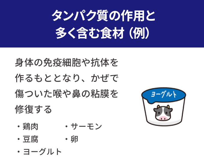 タンパク質の作用と多く含む食材(例)。身体の免疫細胞や抗体を作るもととなり、かぜで傷ついた喉や鼻の粘膜を修復する。鶏肉、サーモン、豆腐、ヨーグルト、卵。