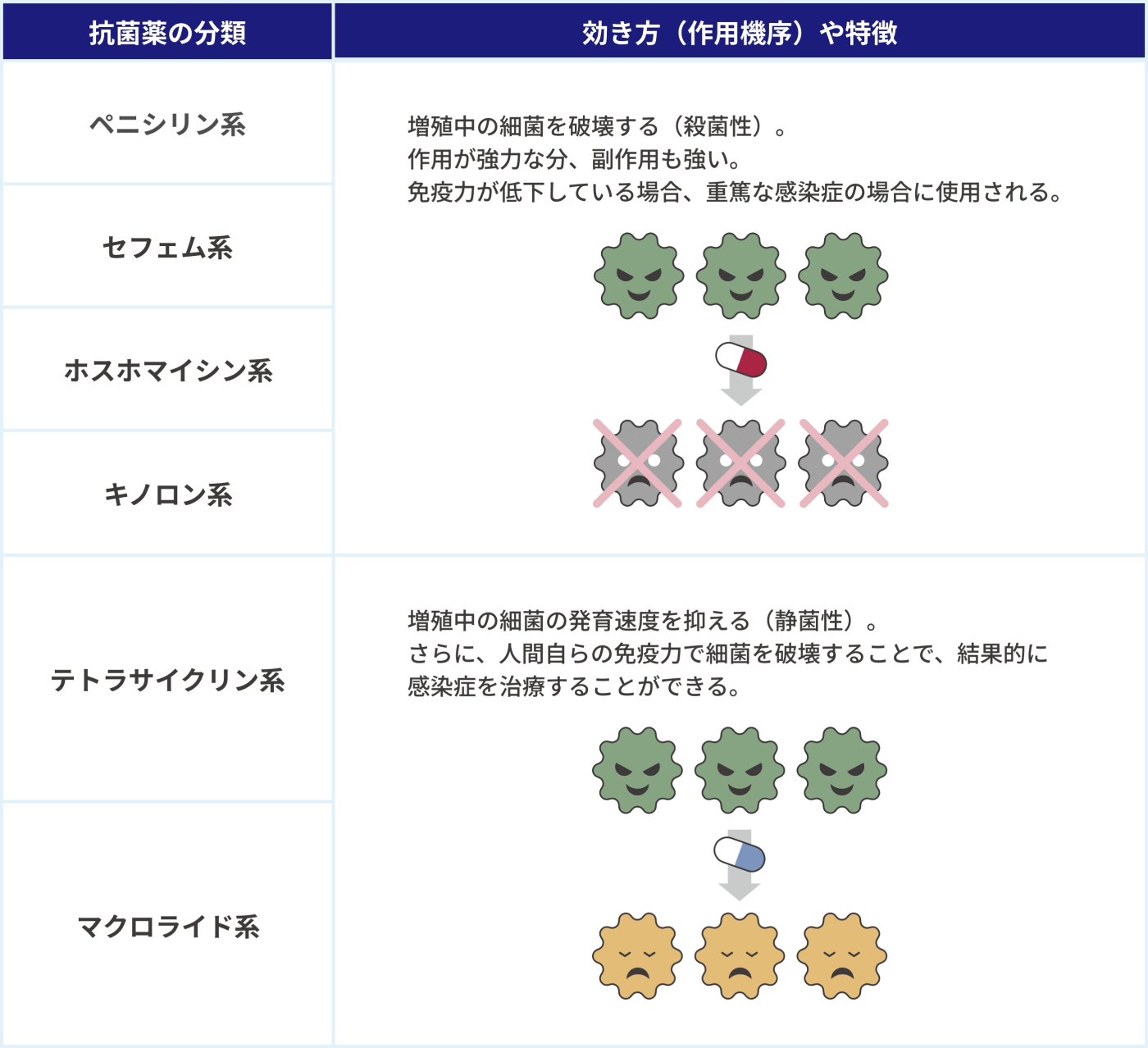 抗菌薬の分類を示した表。見出しは「抗菌薬の分類」と「効き方(作用機序)や特徴」。抗菌薬の分類で「ペニシリン系」「セフェム系」「ホスホマイシン系」「キノロン系」の効き方(作用機序)や特徴は次の3つ。増殖中の細菌を破壊する(殺菌性)。作用が強力な分、副作用も強い。免疫力が低下している場合、重篤な感染症の場合に使用される。抗菌薬の分類で「テトラサイクリン系」「マクロライド系」の効き方(作用機序)や特徴は次の2つ。増殖中の細菌の発育速度を抑える(静菌性)。さらに、人間自らの免疫力で細菌を破壊することで、結果的に感染症を治療することができる。