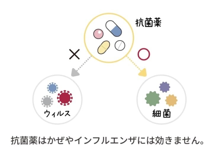 抗菌薬の適応のイメージ図。抗菌薬は細菌には◯、ウイルスには☓。抗菌薬はかぜやインフルエンザには効きません。