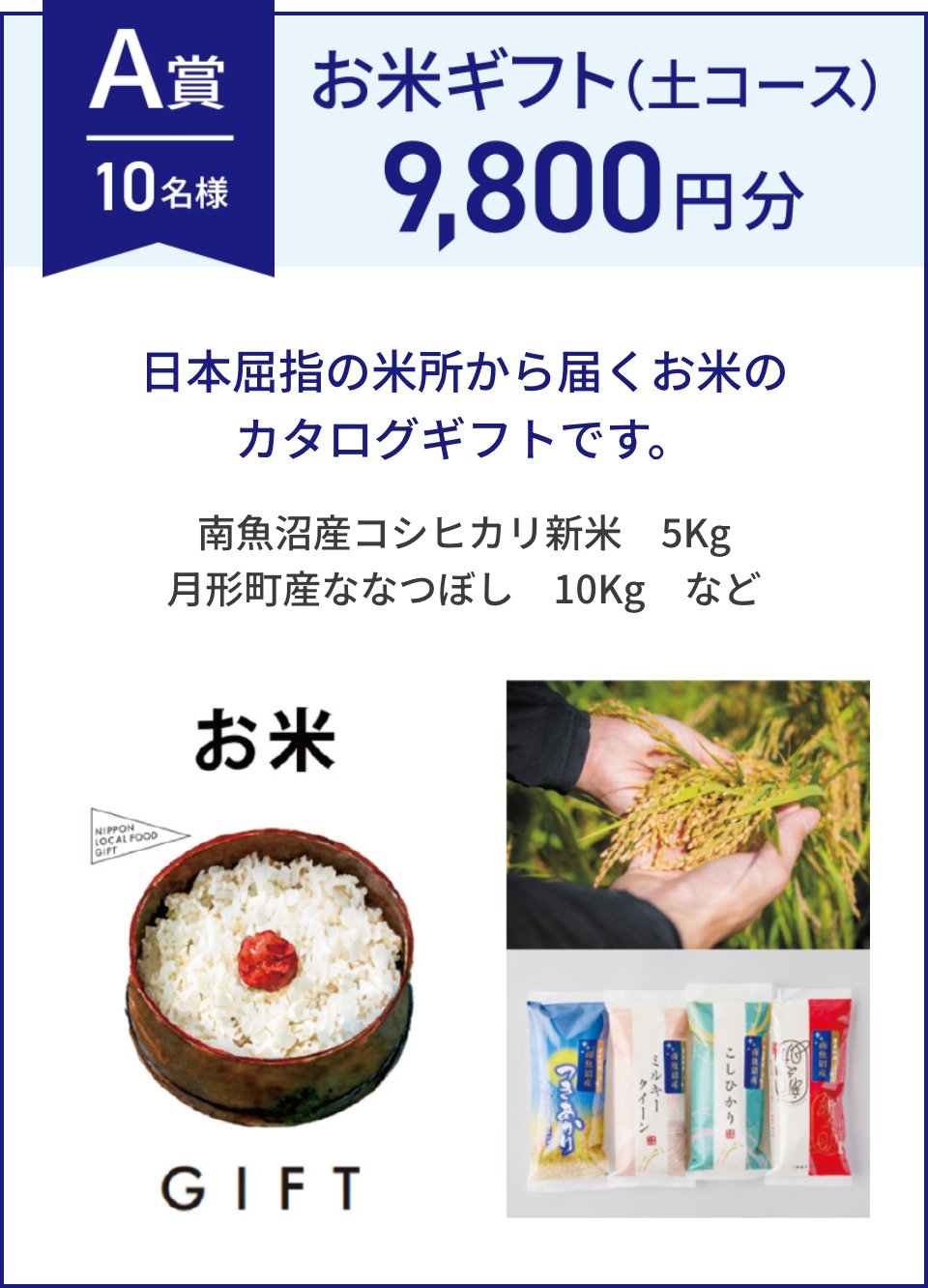 A賞 10名様 お米ギフト(土コース) 9,800円分 日本屈指の米所から届くお米のカタログギフトです。 南魚沼産コシヒカリ新米　5Kg 月形町産ななつぼし　10Kg　など
