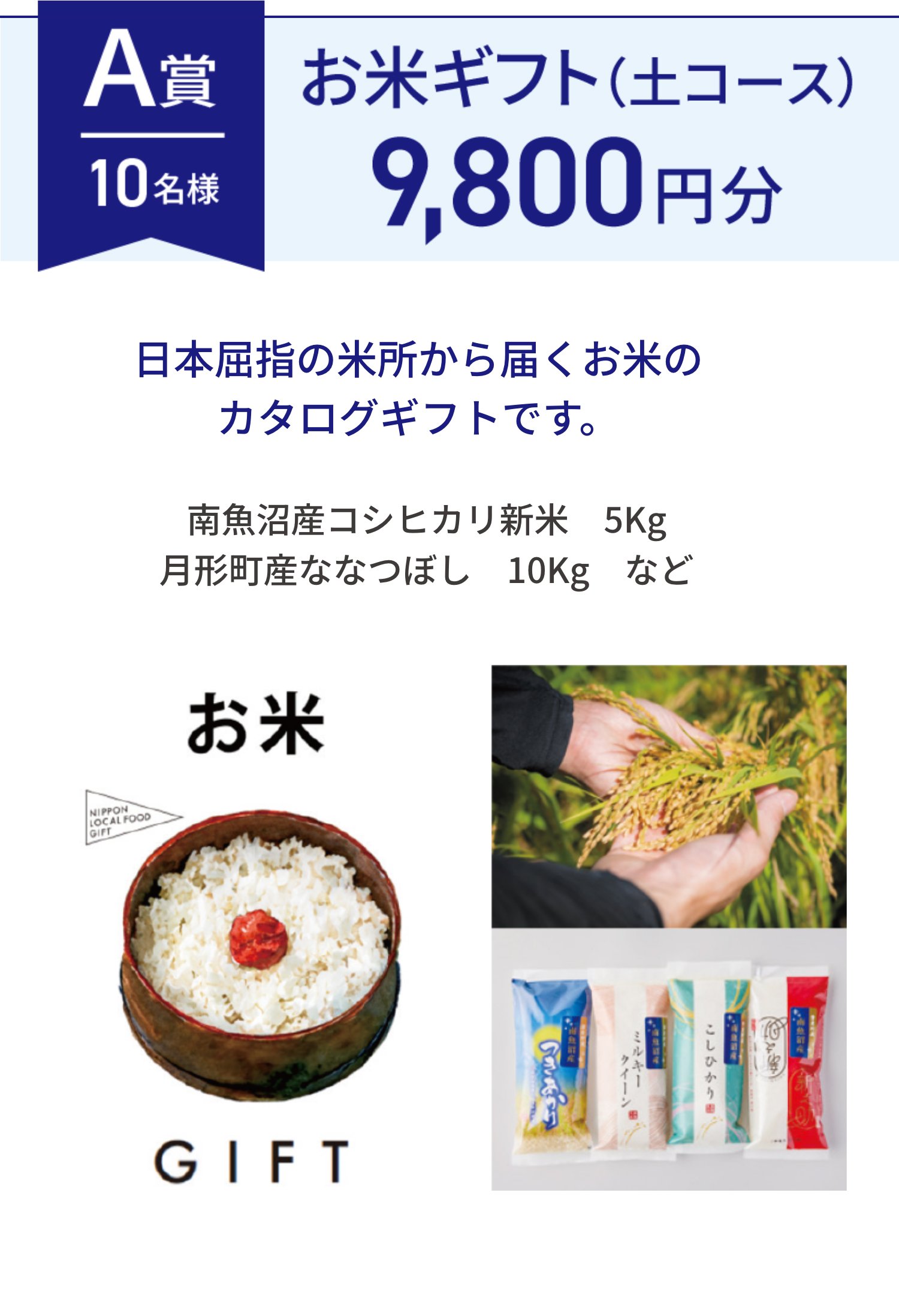 A賞 10名様 お米ギフト(土コース) 9,800円分 日本屈指の米所から届くお米のカタログギフトです。 南魚沼産コシヒカリ新米　5Kg 月形町産ななつぼし　10Kg　など