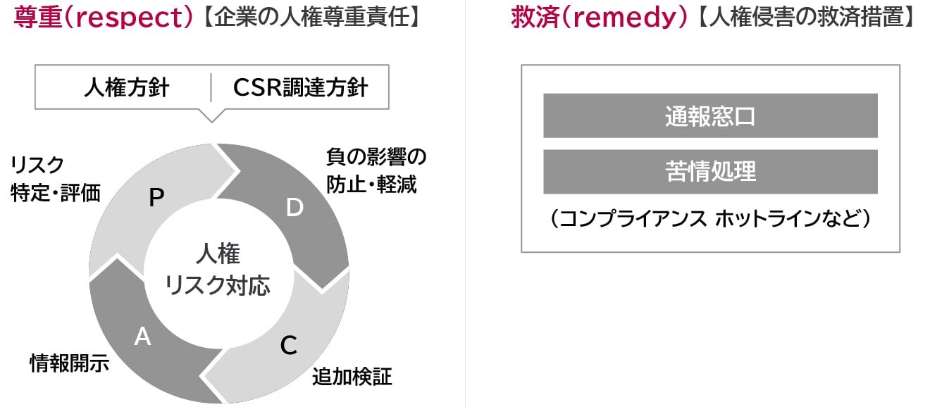 尊重（respect）【企業の人権尊重責任】について左に、救済（remedy）【人権侵害の救済措置】についてが右に掲載。尊重（respect）【企業の人権尊重責任】は、人権方針│CSR調達方針の文字が吹き出しであり、その下に「人権リスク対応」のタイトルの周りにP：リスク特定・評価、D：負の影響の防止・軽減、C：追加検証、A：情報開示に分割された円がレイアウトされています。救済（remedy）【人権侵害の救済措置】は、縦に並んだ２つのグレーの四角に通報窓口、苦情処理が書かれており（コンプライアンス ホットラインなど）が下に記載され、全体がグレー枠で囲まれています。