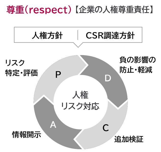 尊重（respect）【企業の人権尊重責任】についての図です。人権方針│CSR調達方針の文字が吹き出しであり、その下に「人権リスク対応」のタイトルの周りにP：リスク特定・評価、D：負の影響の防止・軽減、C：追加検証、A：情報開示に分割された円がレイアウトされています。